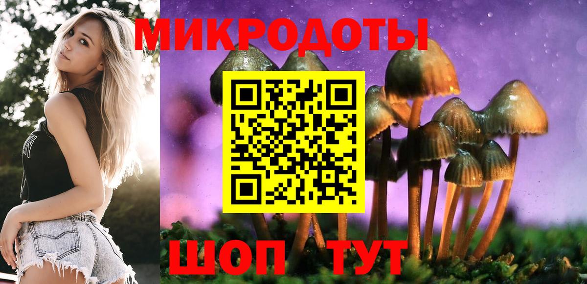 Галлюциногенные грибы Psilocybine cubensis Братск